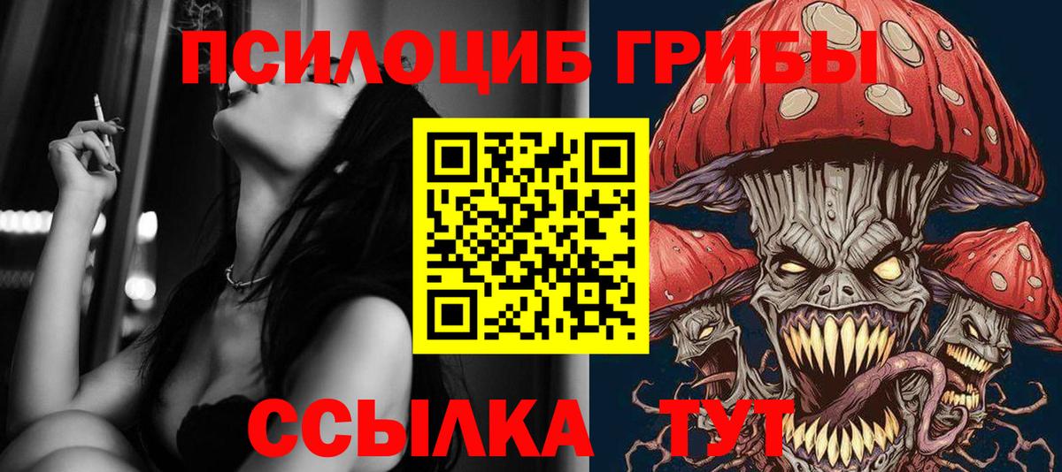 Псилоцибиновые грибы мицелий Балаково
